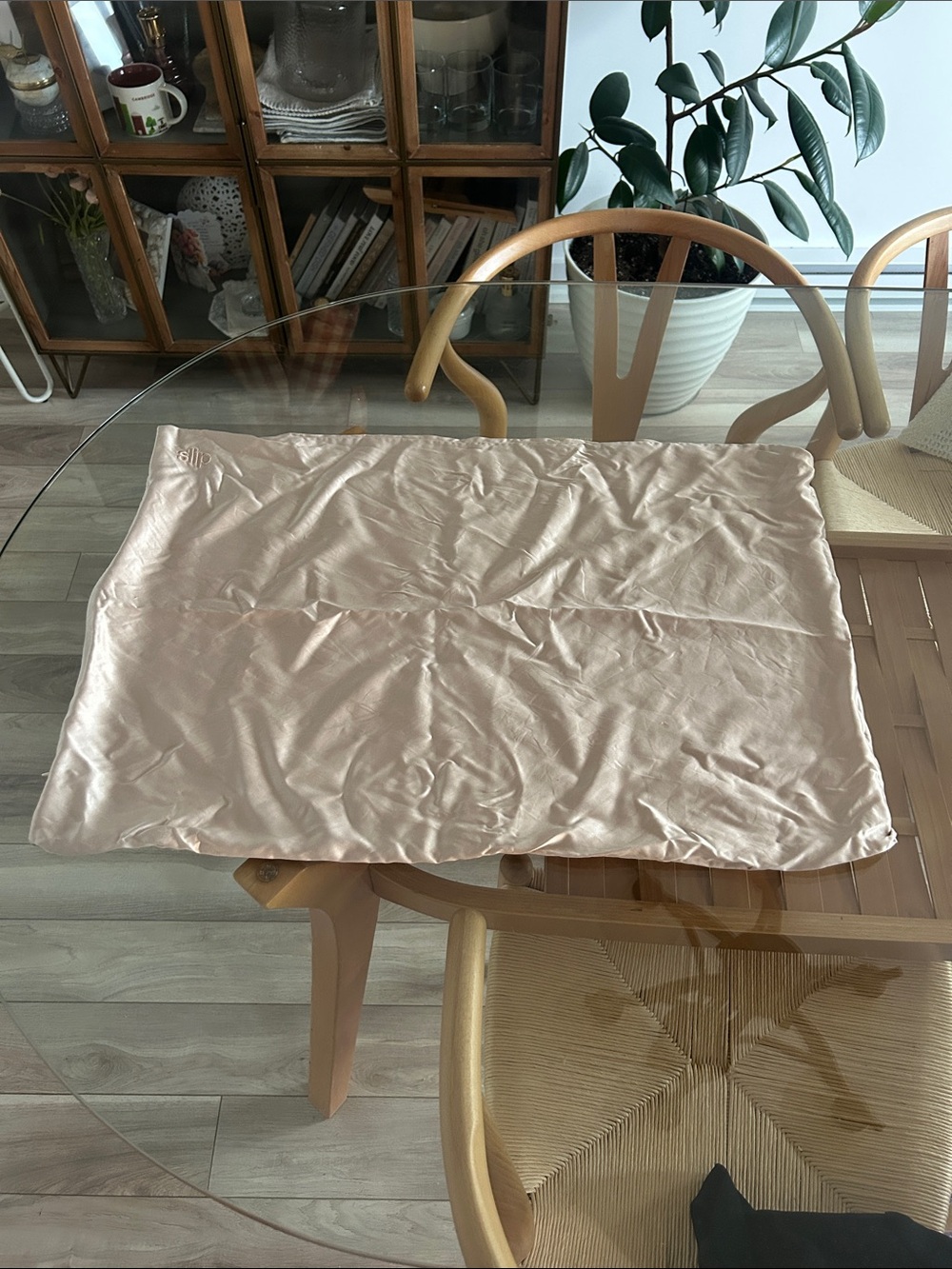 100% Silk Slip Pillowcase in Champagne Colour